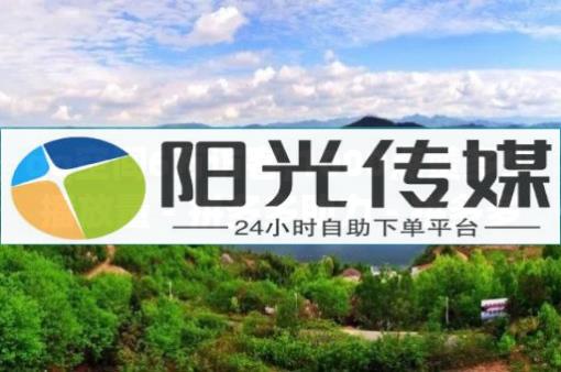 24小时自动下单最低价,抖音业务下单24小时最低价破,抖音流量密