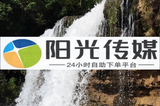 巨量千川涨1000粉丝靠谱吗,v粉卡好还是大王卡好,2024年免费刷QQ绿钻教程 - 0.5自助下单500