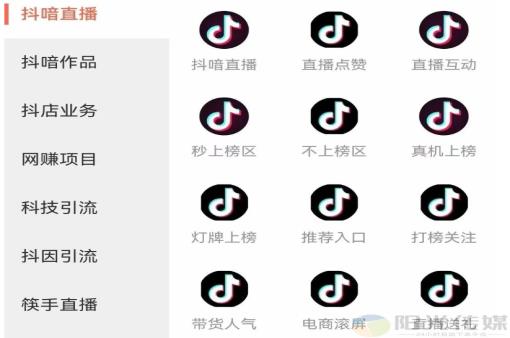 抖音自动推广引流app,神器快手看广告一小时挣100,dy低价下单平台,抖音流量推广,